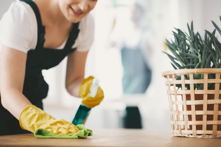 Green Cleaning by AA European Cleaning Service